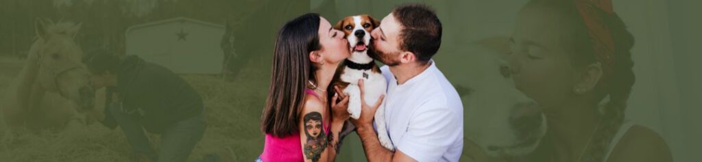 vacina para cães e gatos