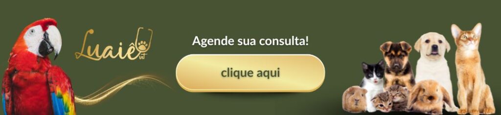 veterinário em americana