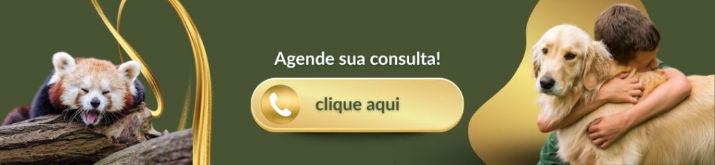 emergência veterinária contato
