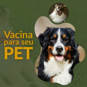 Vacina para cães e gatos: Proteção Essencial Para a Vida Toda